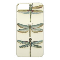 Dragonfly Collection by Chariklia Zarris