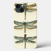 Dragonfly Collection by Chariklia Zarris