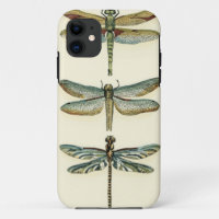 Dragonfly Collection by Chariklia Zarris