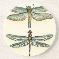 Dragonfly Collection by Chariklia Zarris