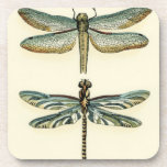 Dragonfly Collection by Chariklia Zarris Coaster<br><div class="desc">A dragonfly collection worthy of any curious nature buff,  this is a stunning piece by Chariklia Zarris. Put it on your wall or give it as a gift!</div>