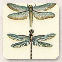 Dragonfly Collection by Chariklia Zarris
