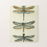 Dragonfly Collection by Chariklia Zarris Jigsaw Puzzle<br><div class="desc">A dragonfly collection worthy of any curious nature buff,  this is a stunning piece by Chariklia Zarris. Put it on your wall or give it as a gift!</div>