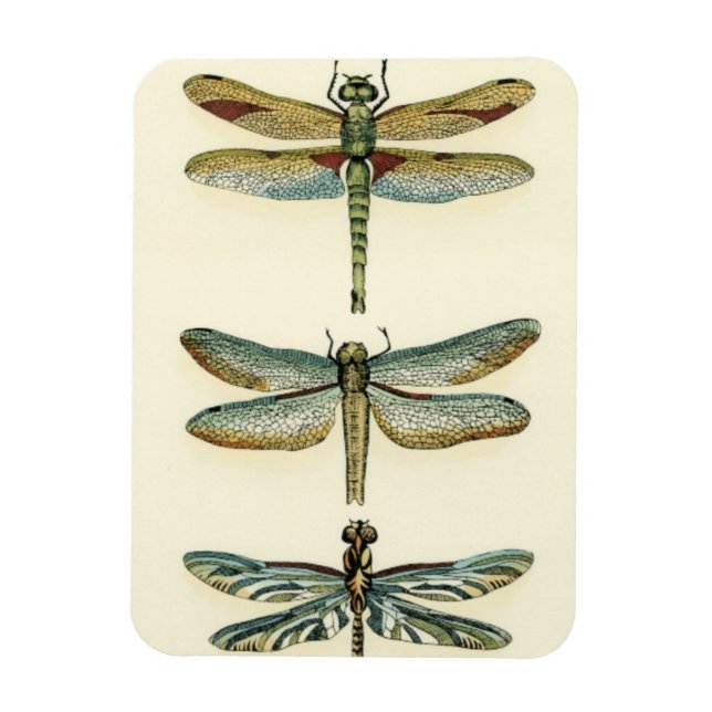 Dragonfly Collection by Chariklia Zarris Magnet (Vertical)