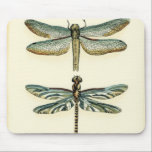 Dragonfly Collection by Chariklia Zarris Mouse Mat<br><div class="desc">A dragonfly collection worthy of any curious nature buff,  this is a stunning piece by Chariklia Zarris. Put it on your wall or give it as a gift!</div>