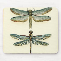 Dragonfly Collection by Chariklia Zarris