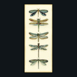 Dragonfly Collection by Chariklia Zarris Poster<br><div class="desc">A dragonfly collection worthy of any curious nature buff,  this is a stunning piece by Chariklia Zarris. Put it on your wall or give it as a gift!</div>