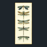 Dragonfly Collection by Chariklia Zarris Poster<br><div class="desc">A dragonfly collection worthy of any curious nature buff,  this is a stunning piece by Chariklia Zarris. Put it on your wall or give it as a gift!</div>