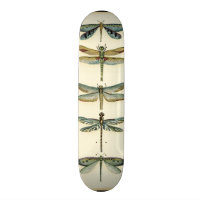 Dragonfly Collection by Chariklia Zarris