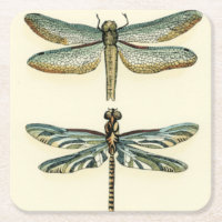 Dragonfly Collection by Chariklia Zarris