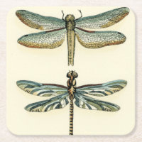 Dragonfly Collection by Chariklia Zarris