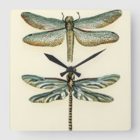 Dragonfly Collection by Chariklia Zarris