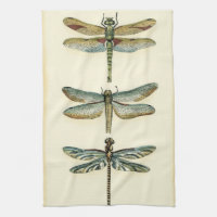 Dragonfly Collection by Chariklia Zarris