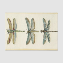 Dragonfly Collection by Chariklia Zarris Tissue Paper