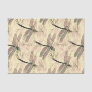 Dragonfly colour illustration tissue paper