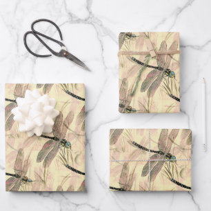 Dragonfly colour illustration wrapping paper sheet