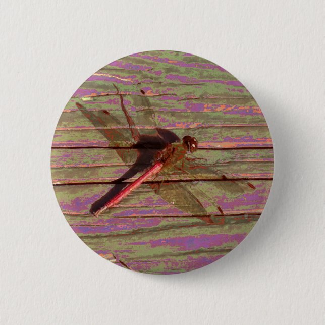 Dragonfly Colourful 6 Cm Round Badge (Front)
