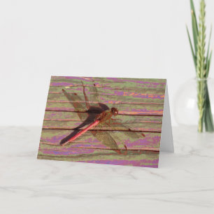 Dragonfly Colourful Card