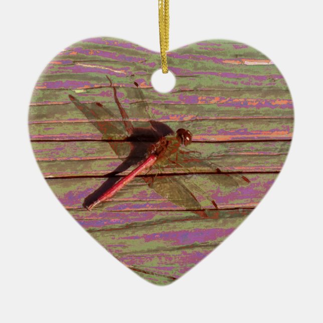 Dragonfly Colourful Ceramic Ornament (Front)