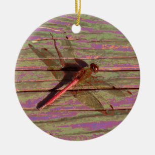 Dragonfly Colourful Ceramic Tree Decoration