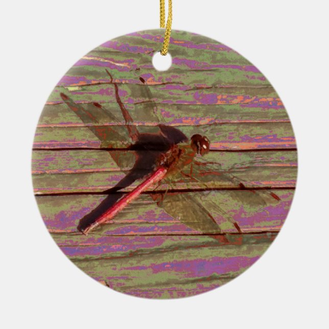 Dragonfly Colourful Ceramic Tree Decoration (Front)