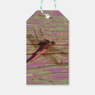 Dragonfly Colourful Gift Tags