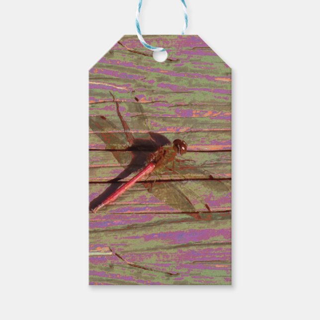 Dragonfly Colourful Gift Tags (Front)