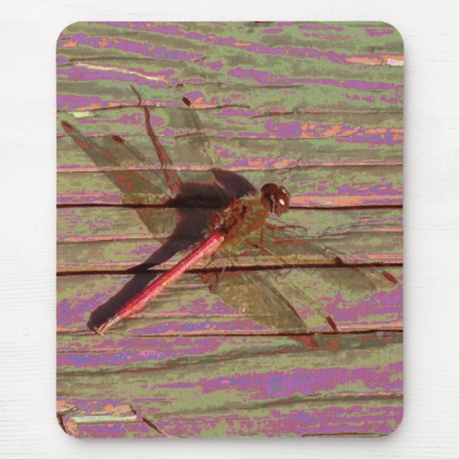 Dragonfly Colourful Mouse Mat (Front)