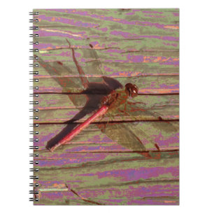 Dragonfly Colourful Notebook