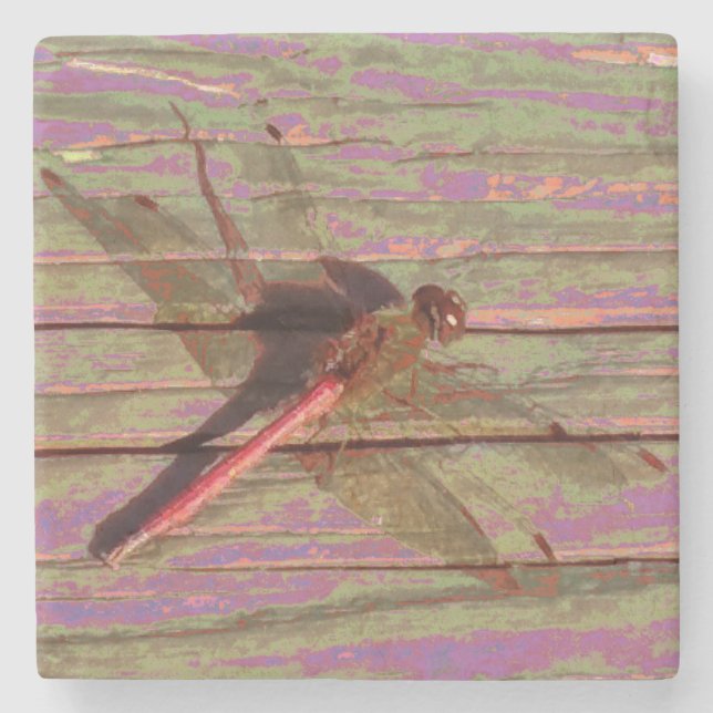 Dragonfly Colourful Stone Coaster (Front)