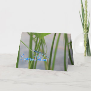 Dragonfly Congratulations Card