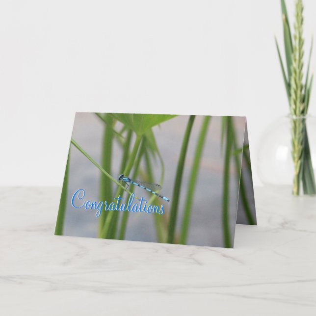 Dragonfly Congratulations Card (Front)