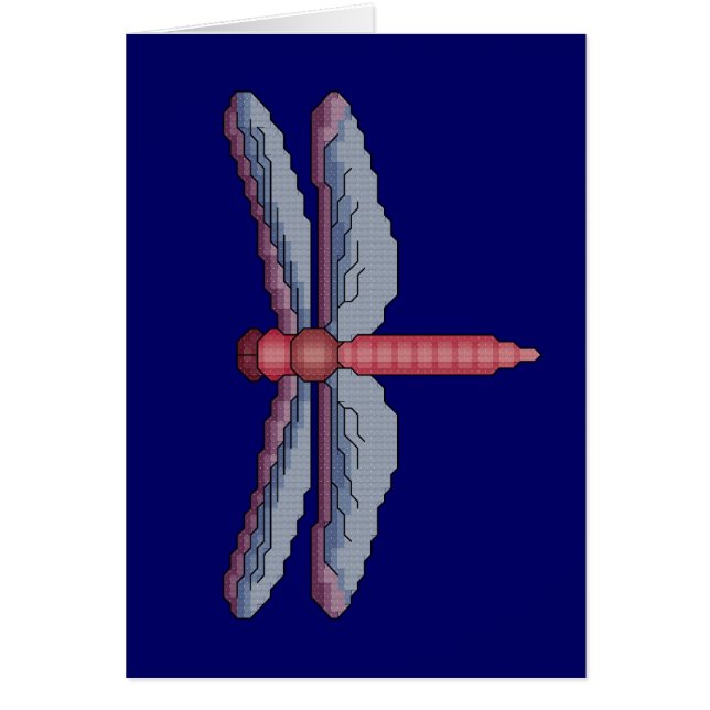 Dragonfly Cross Stitch (Front)