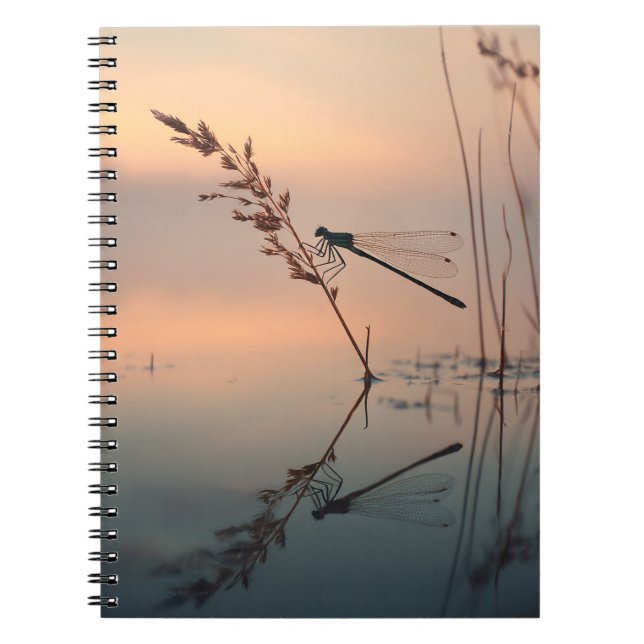 Dragonfly Dawn Reflection Notebook (Front)