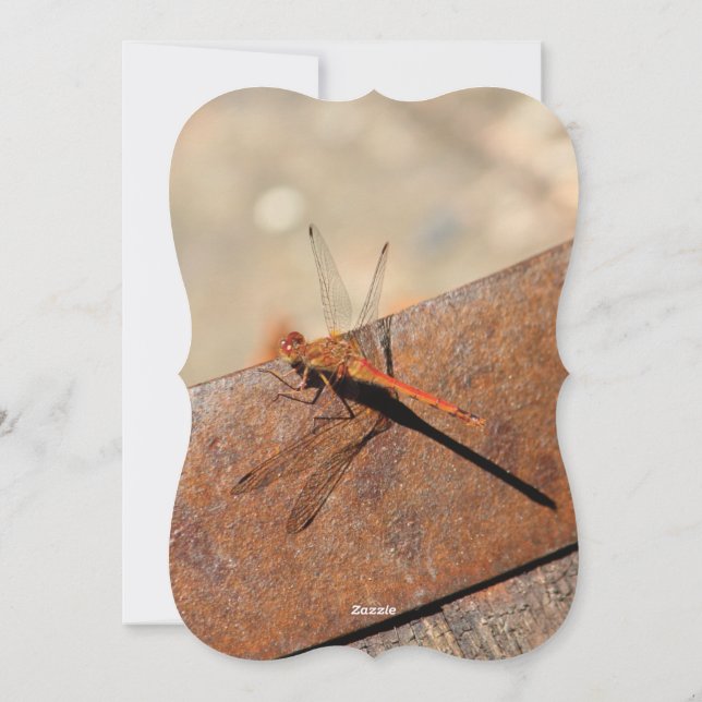 Dragonfly Design With Brown Holiday Card (Back)