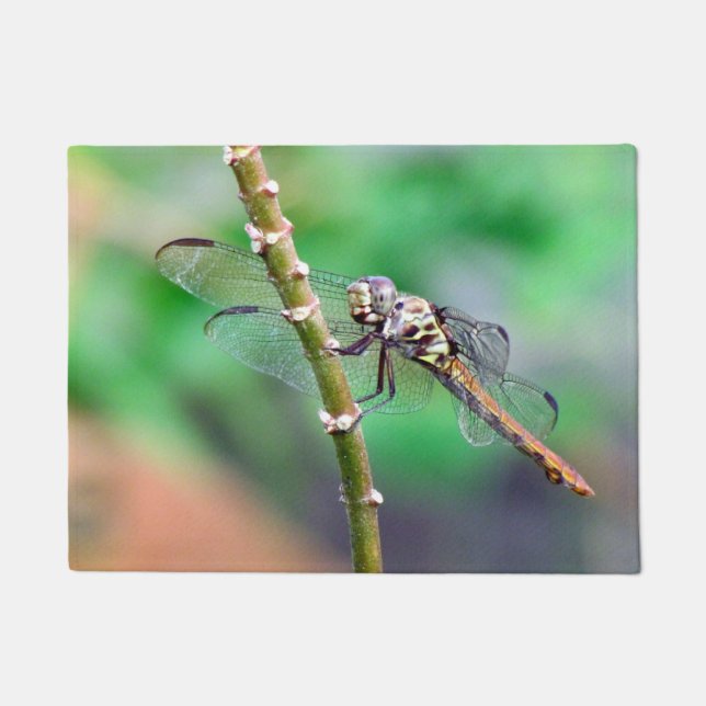 Dragonfly Doormat (Front)