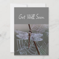 Dragonfly Dragonflies Get Well Soon