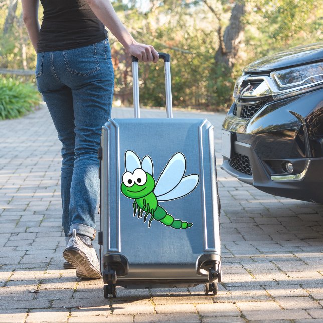 Dragonfly dragonfly    (Suitcase Insitu)