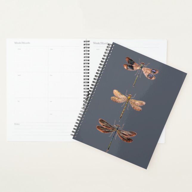 dragonfly dream planner (Display)