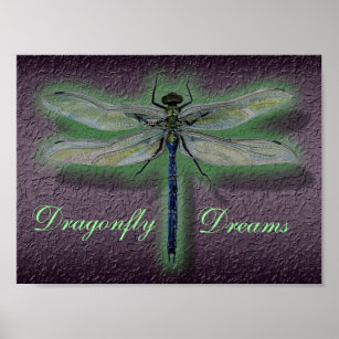 Dragonfly Dreams Poster