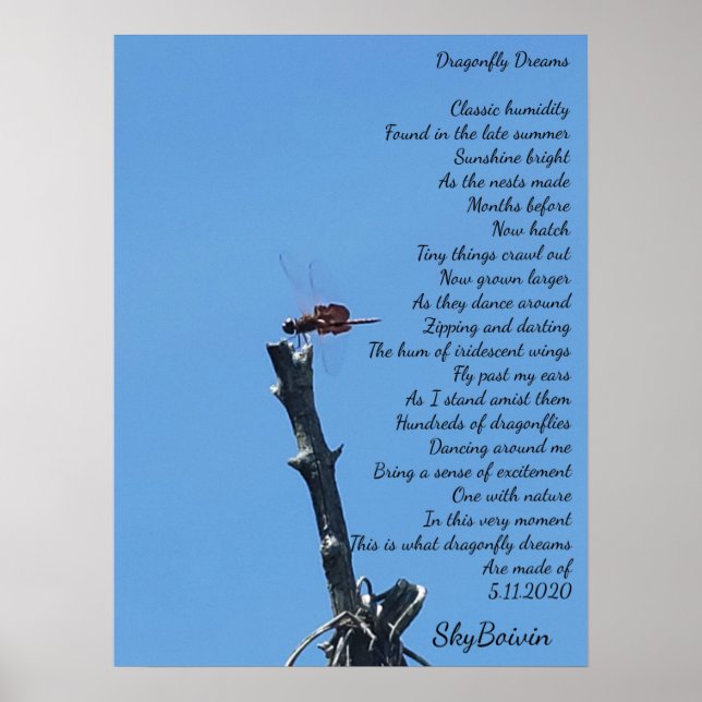 dragonfly dreams poster (Front)
