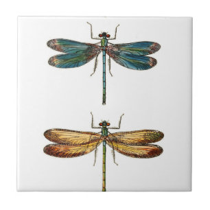 Dragonfly Duo Ceramics Tile