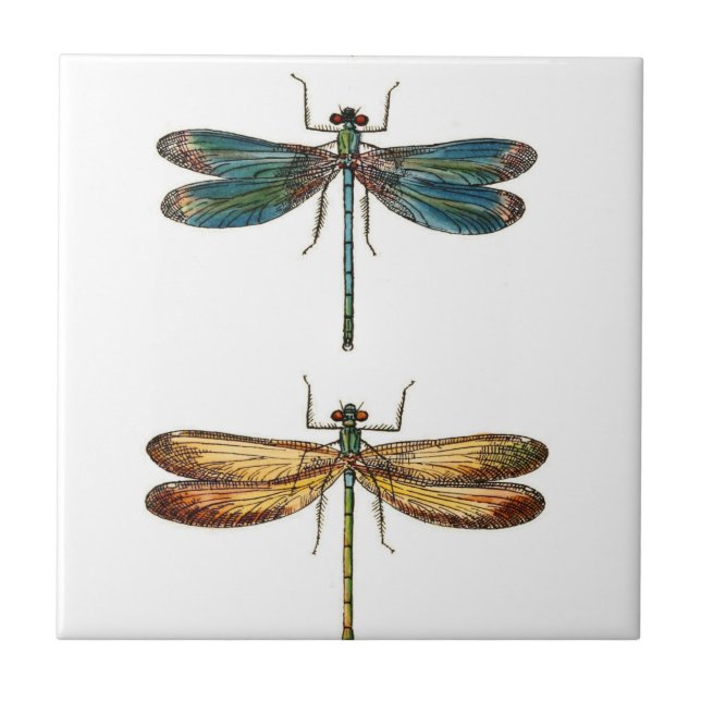 Dragonfly Duo Ceramics Tile (Front)