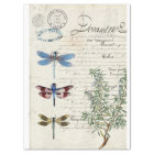 Dragonfly Ephemera Furniture Decoupage Paper