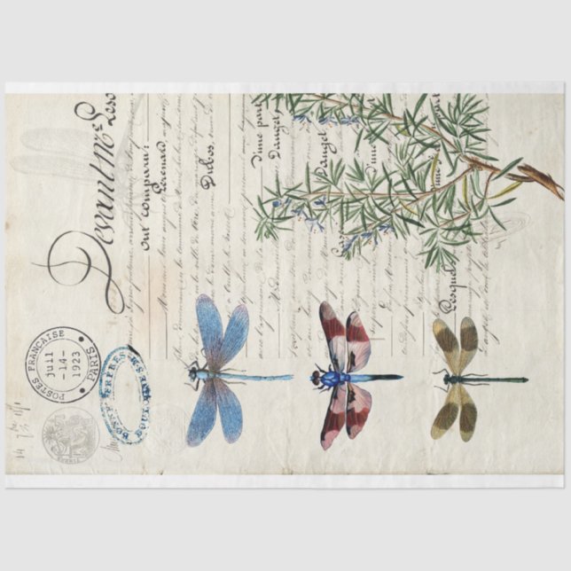 Dragonfly Ephemera Furniture Decoupage Paper (Front)