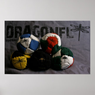 Dragonfly Footbags Poster