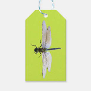 Dragonfly Gift Tags