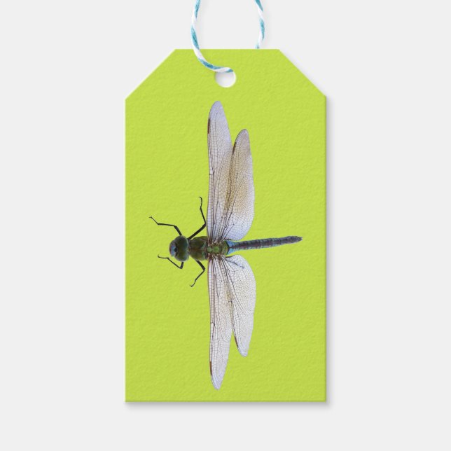 Dragonfly Gift Tags (Front)