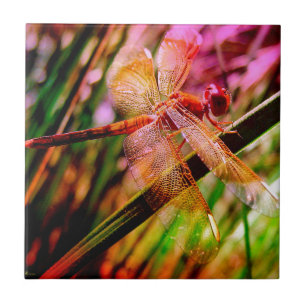 DRAGONFLY GOLDEN HARMONY 2.jpg Tile