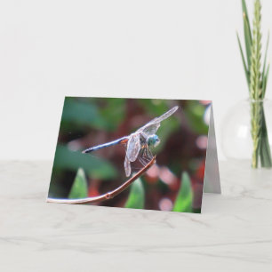 Dragonfly Greeting Card
